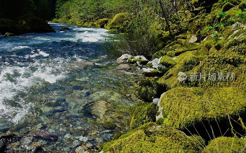 Quartzville Creek国家野生和风景河